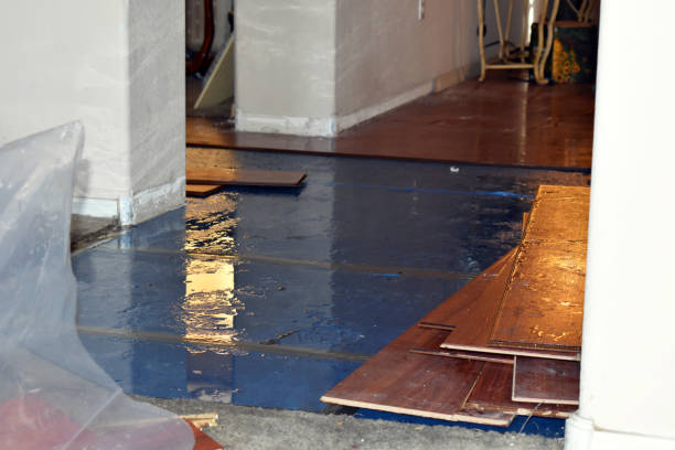 Professional Sewage Cleanup technician working in Black Diamond, FL